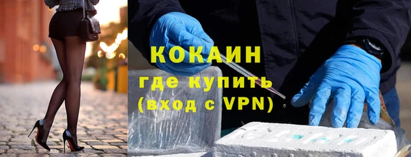 сатива Россошь