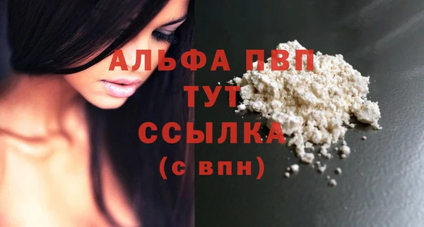 сатива Россошь