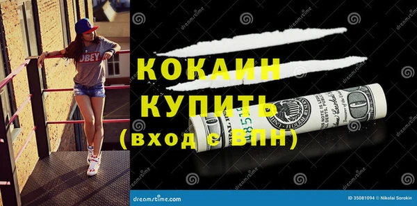 сатива Краснотурьинск