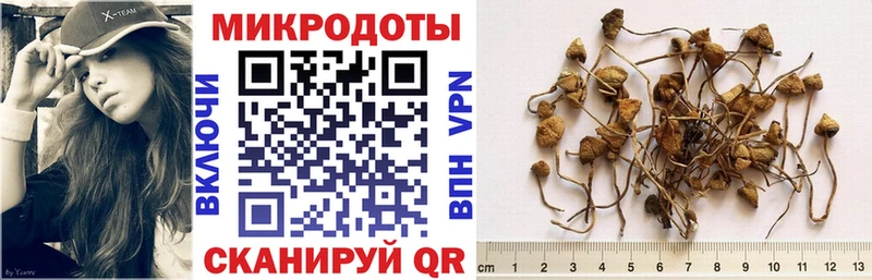 Галлюциногенные грибы ЛСД даркнет официальный сайт Дятьково